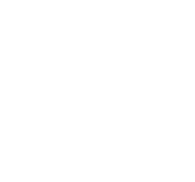 siele siele
